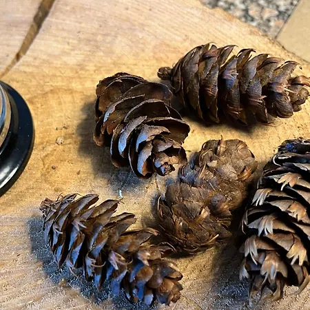 Vinhais Hotel Vinhais