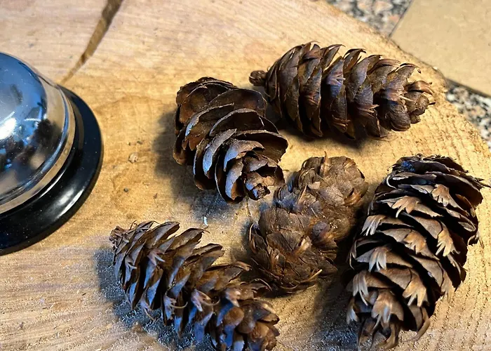 Vinhais Hotel Vinhais